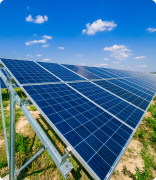 ĐIỆN MÁY HOA NAM